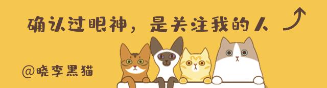 猫咪绝育手术之后怎么护理,猫咪绝育手术后怎么护理