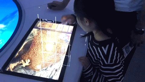 开放首日实探国家海洋博物馆，史上最抢手博物馆究竟长什么样