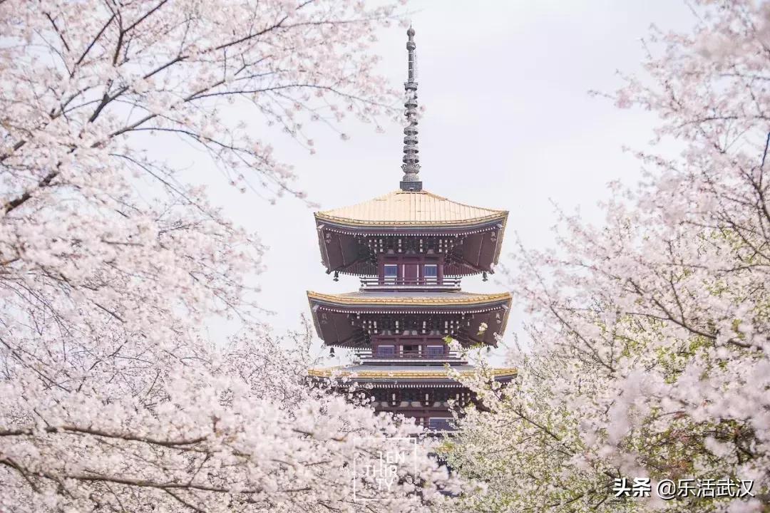 原来武汉有这么多好玩的打卡地,武汉周边新晋7大网红打卡地