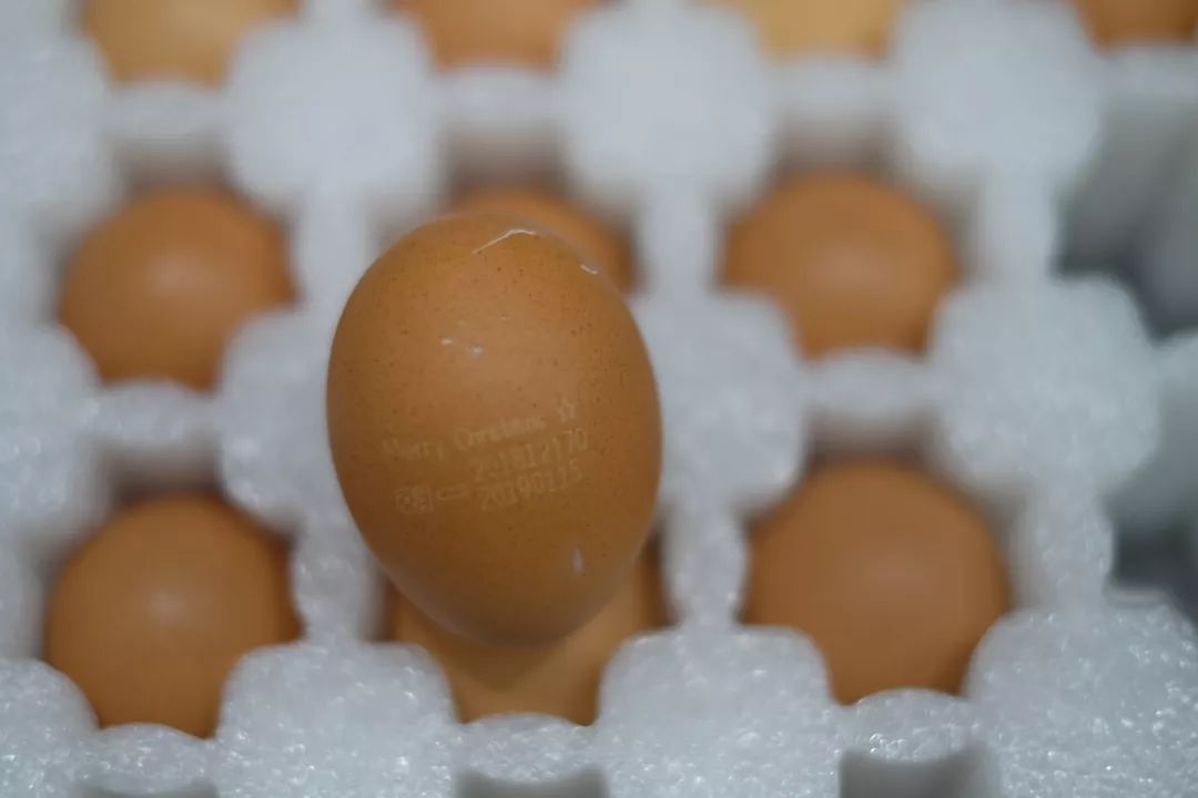 南高教里的学府苑里都有啥好吃的