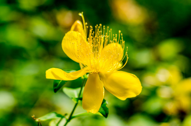 十二星座是大嘴巴还是小嘴,十二星座谁是大嘴巴
