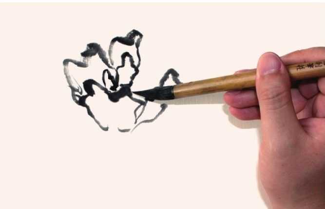 国画牡丹和石头的画法图片,初学国画牡丹花头画法图解