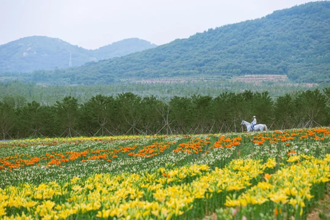 火爆四线小城的文艺社区：像住在美术馆，每天被熏陶