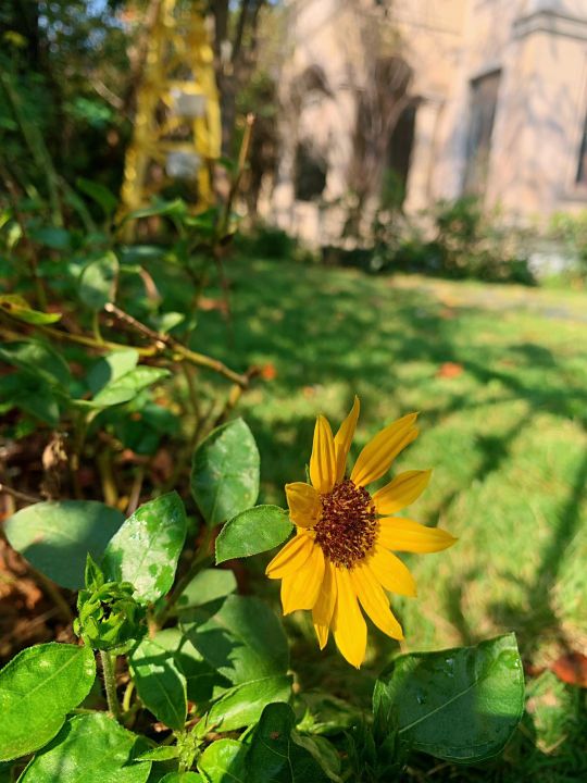 爱一个人的最好方式就是成全他,爱一个人最好的方式是心疼是付出