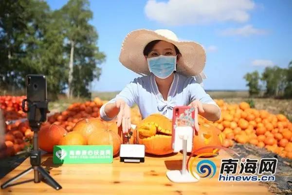 今日小满，遇见初夏！这个季节海南有哪些水果可以吃到爽？