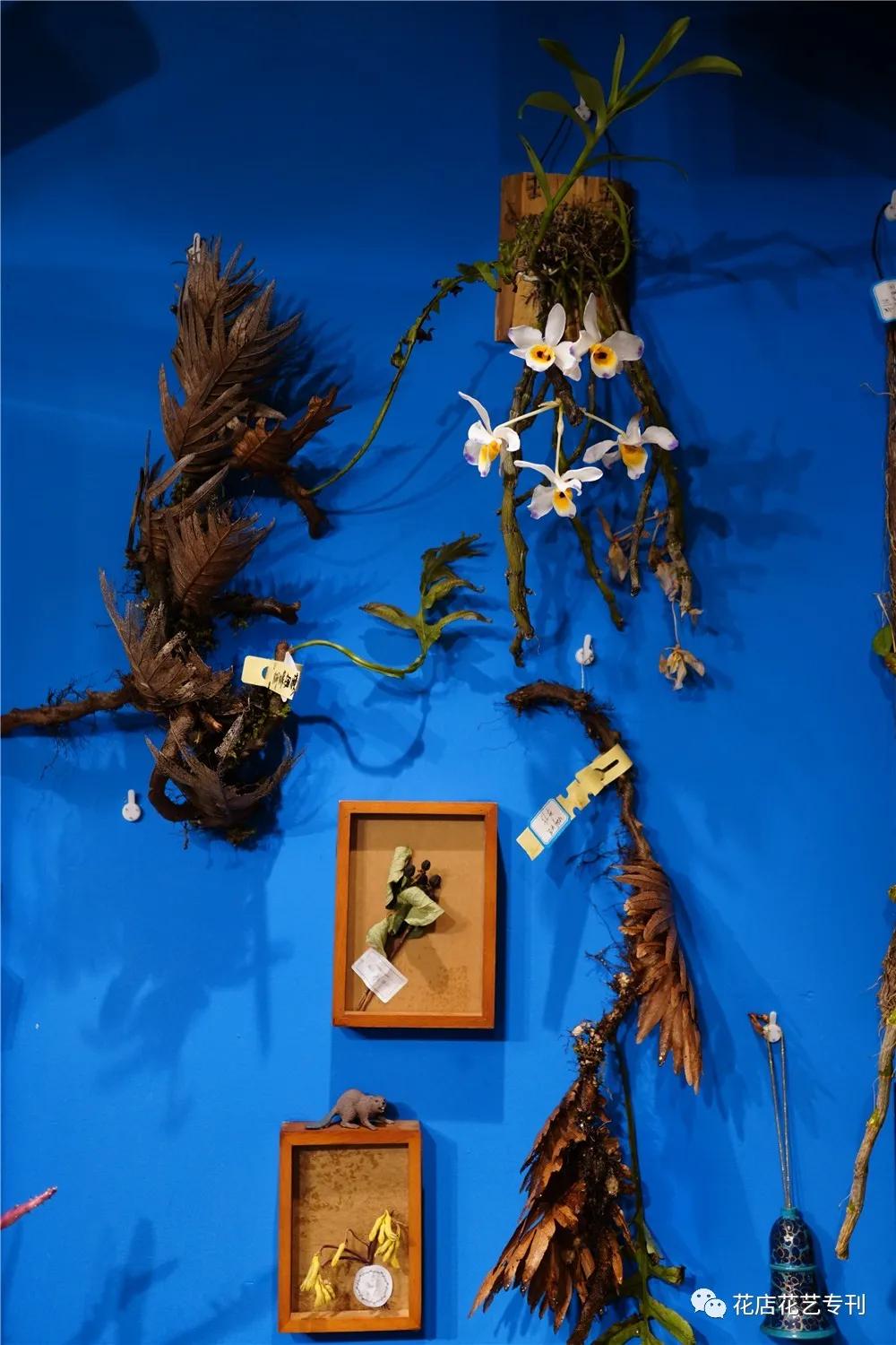 涓婃捣蹇呮墦鍗＄殑鑺卞簵,涓婃捣鑺卞簵缃戠孩