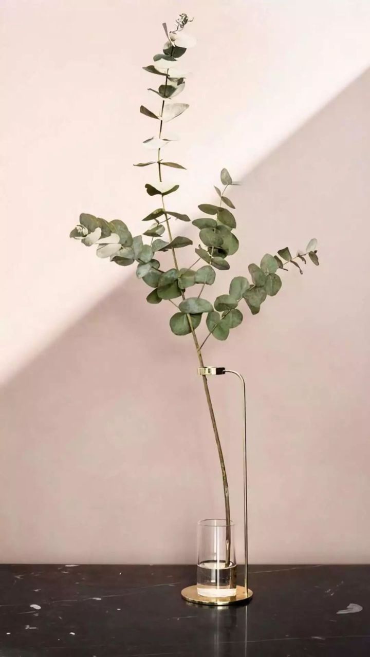 壁纸大全高清手机壁纸,手机壁纸精选高清壁纸