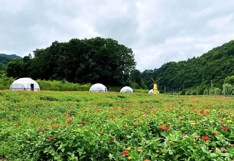 玩转十一长假之石泉古街,10.1石泉县旅游景点一日游攻略