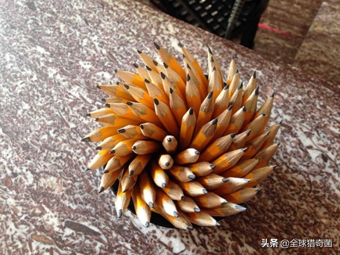 治愈强迫症的29张图片，看完整个人都舒爽了