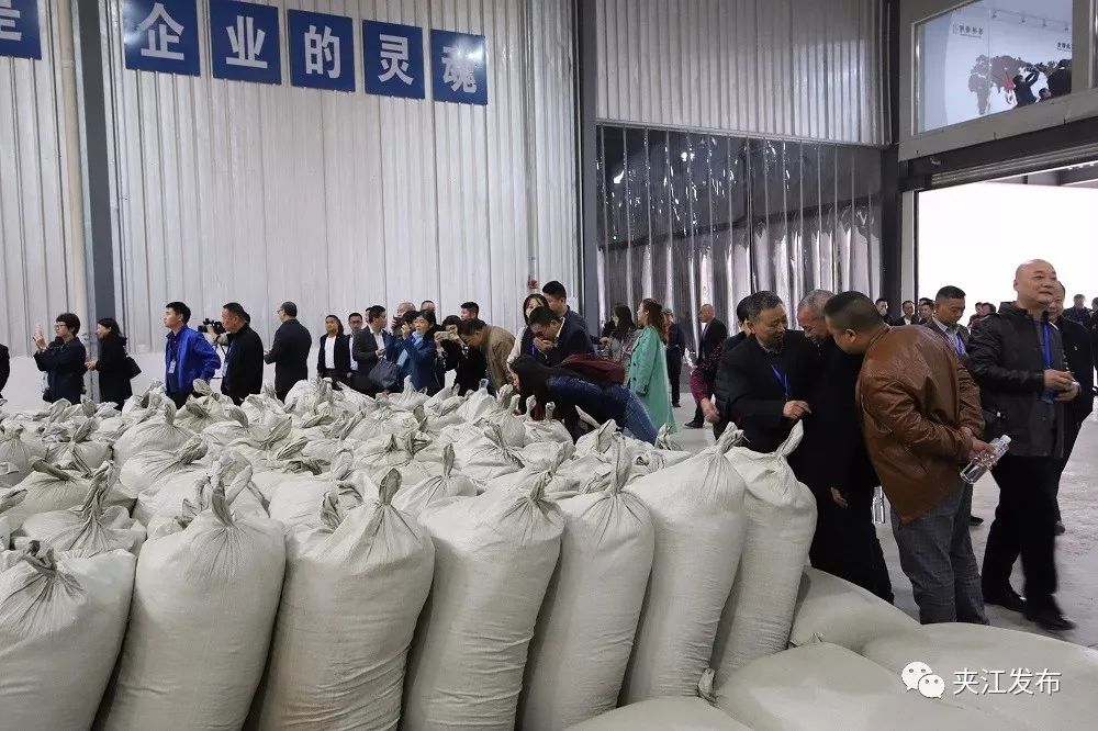 “百岳”来了！全国第一条立体布局出口绿茶生产线在夹江投产