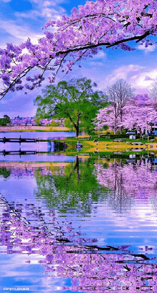 山水花鸟图片欣赏及名称,画花鸟鱼虫活灵活现