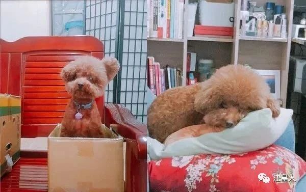 67岁耳朵嗡嗡响是什么原因,57岁耳朵嗡嗡响是怎么啦