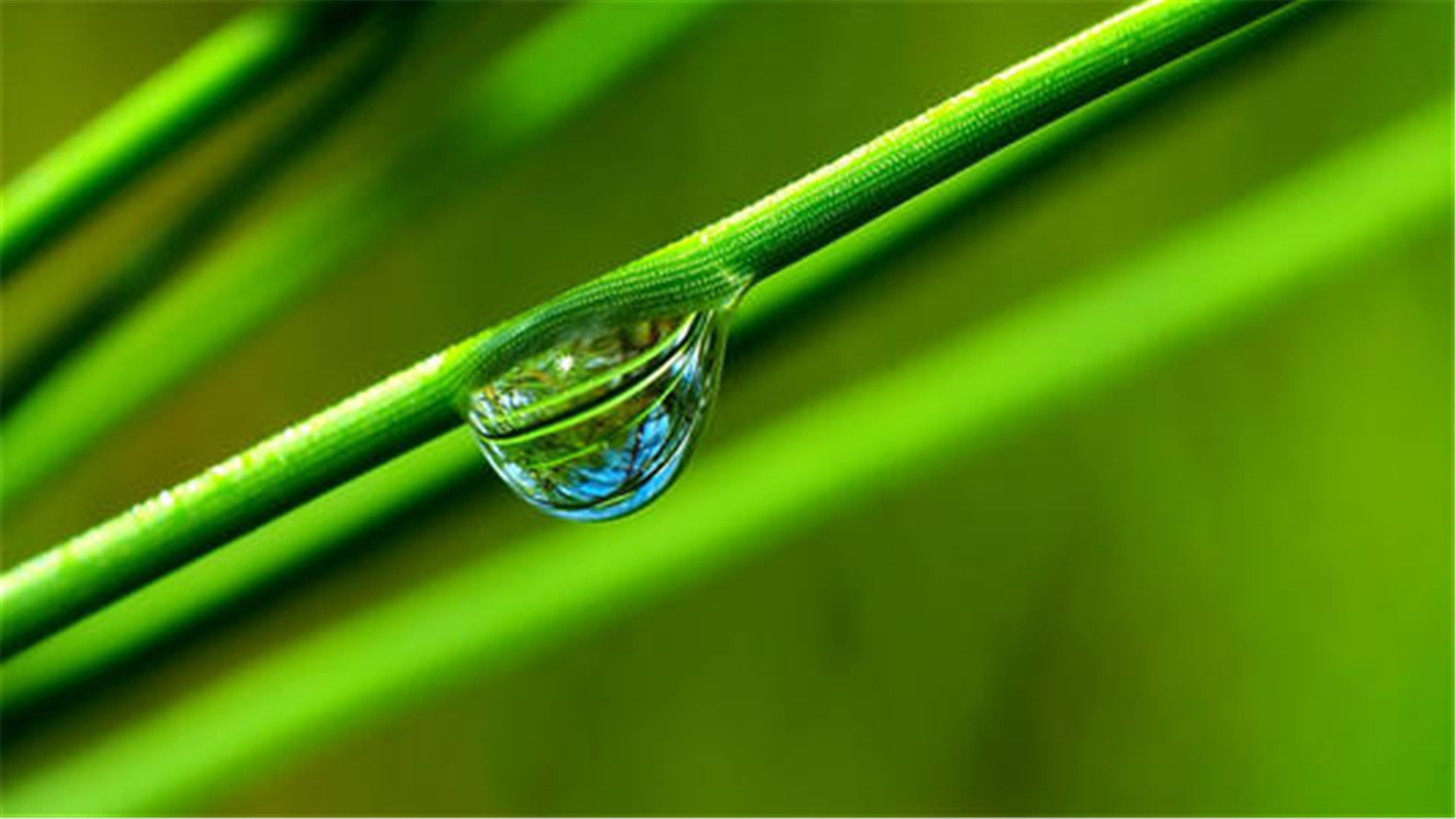 蓝色护眼壁纸唯美图片,最美的护眼桌面壁纸