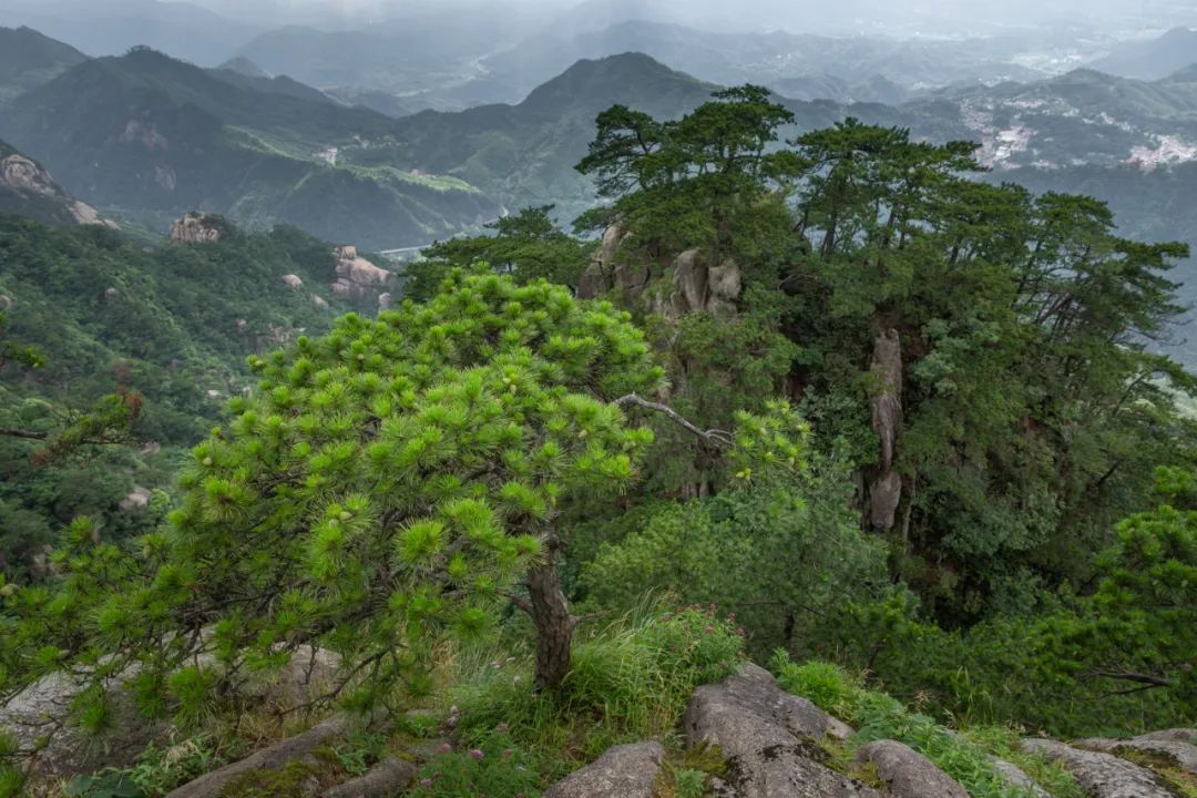 我国四大名山九华山,四大佛教名山哪个风景最美