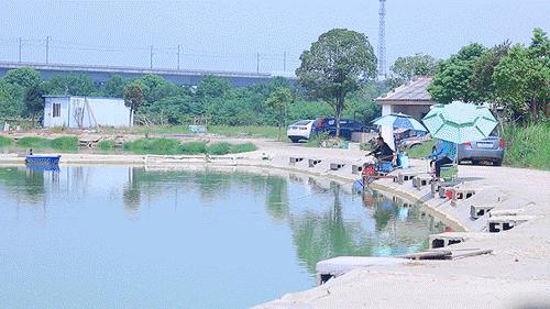 钓鱼渔具怎么选购最好用,初钓者如何选择渔具