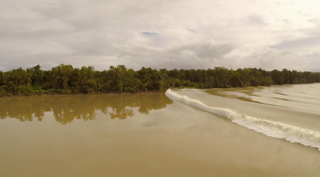 亚马逊河为何至今仍无桥梁,为什么至今没有桥敢横跨亚马逊河