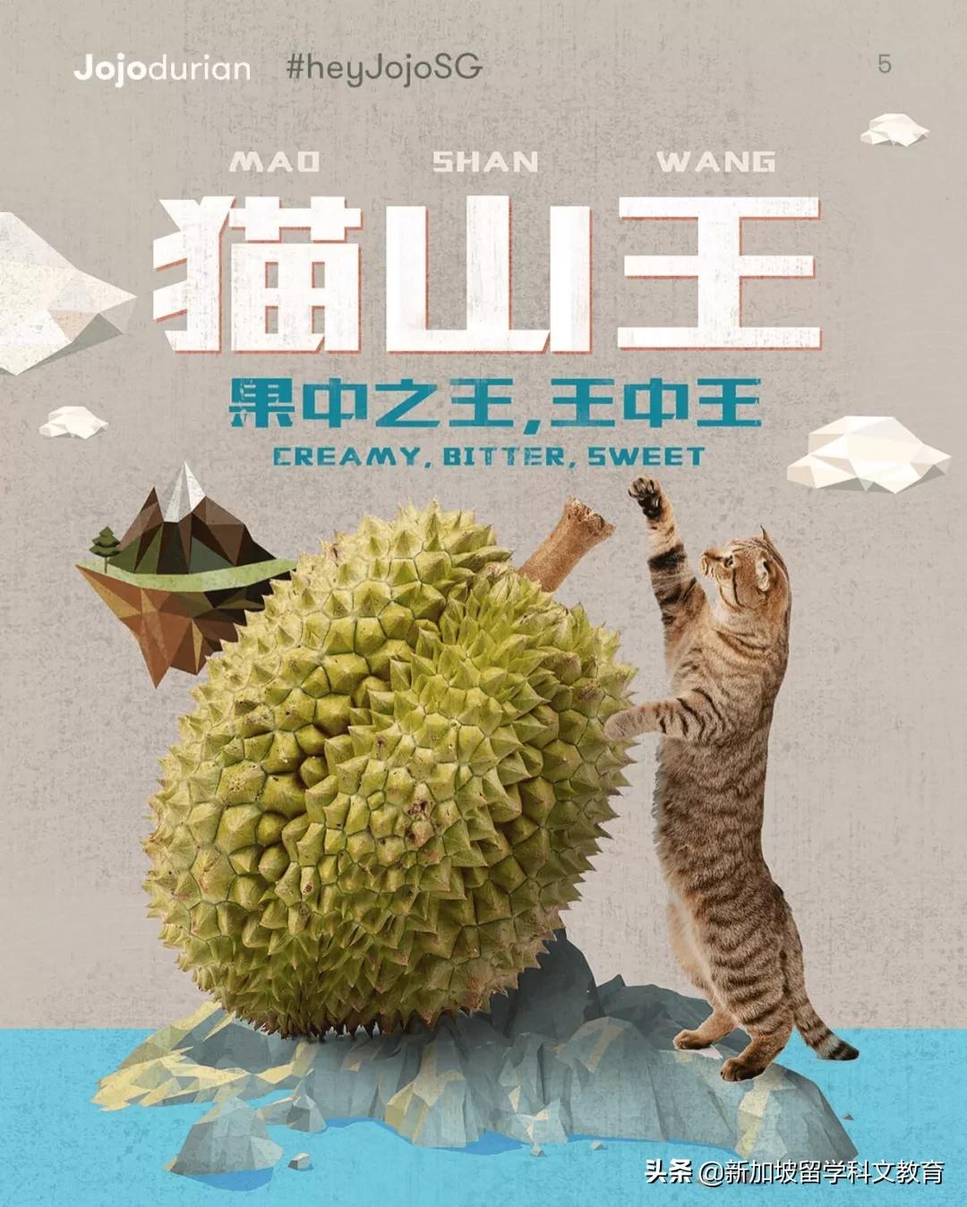 来新加坡一定要吃的榴莲,新加坡吃榴莲的季节