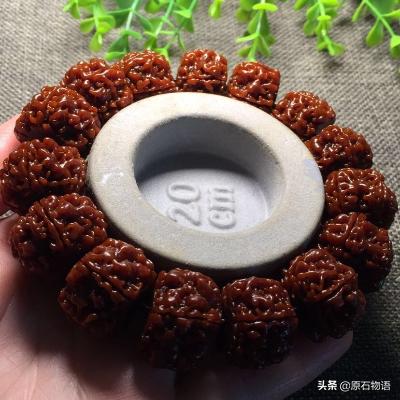 金刚菩提用砂纸磨矮桩,金刚菩提磨漏了怎么办