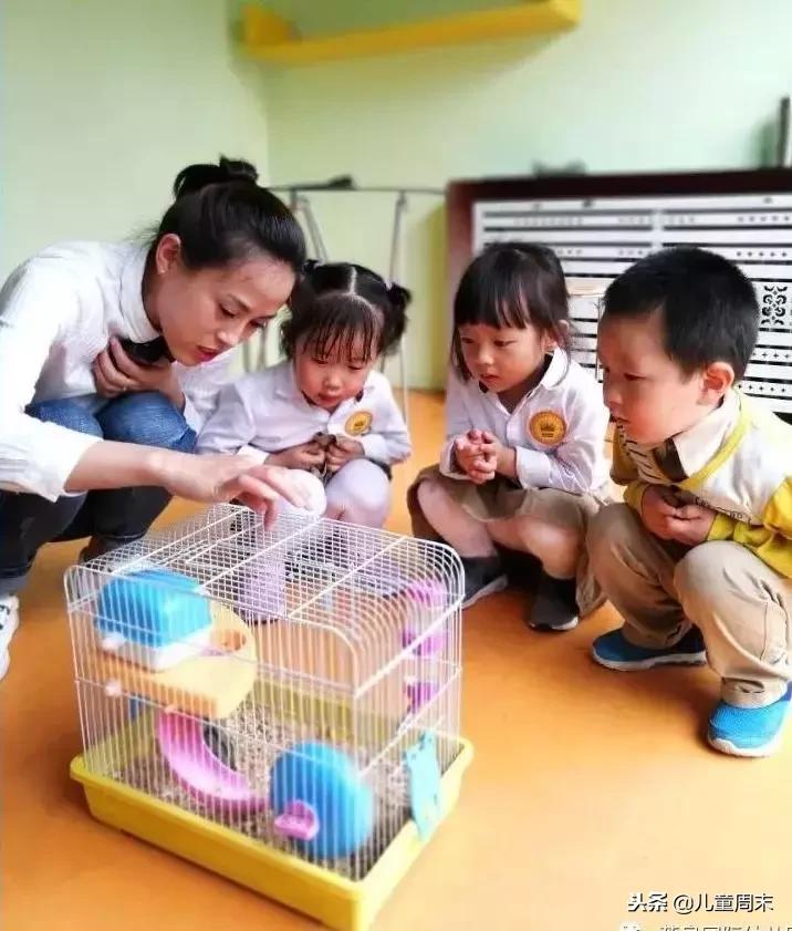 土豪学校深圳大学,深圳土豪高中