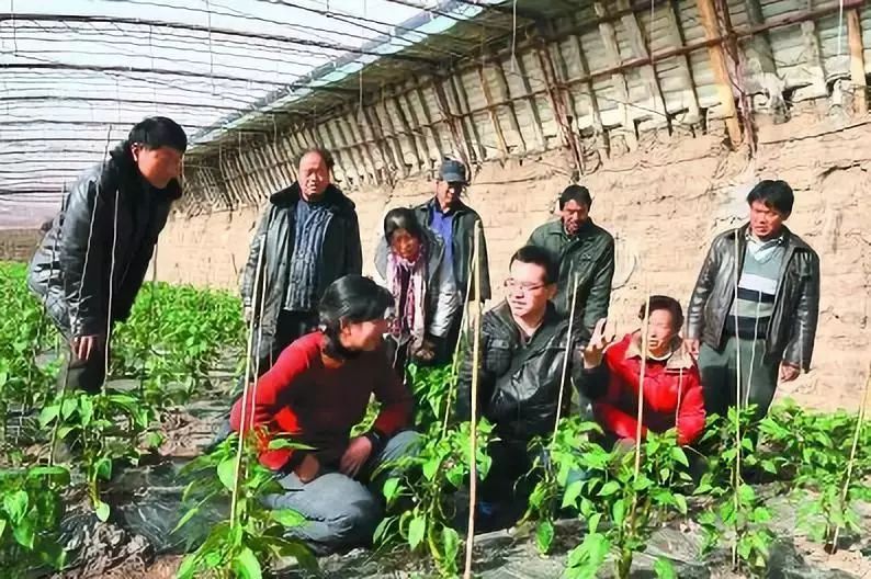 合作社怎么带领群众致富,农民专业合作社怎么赚钱