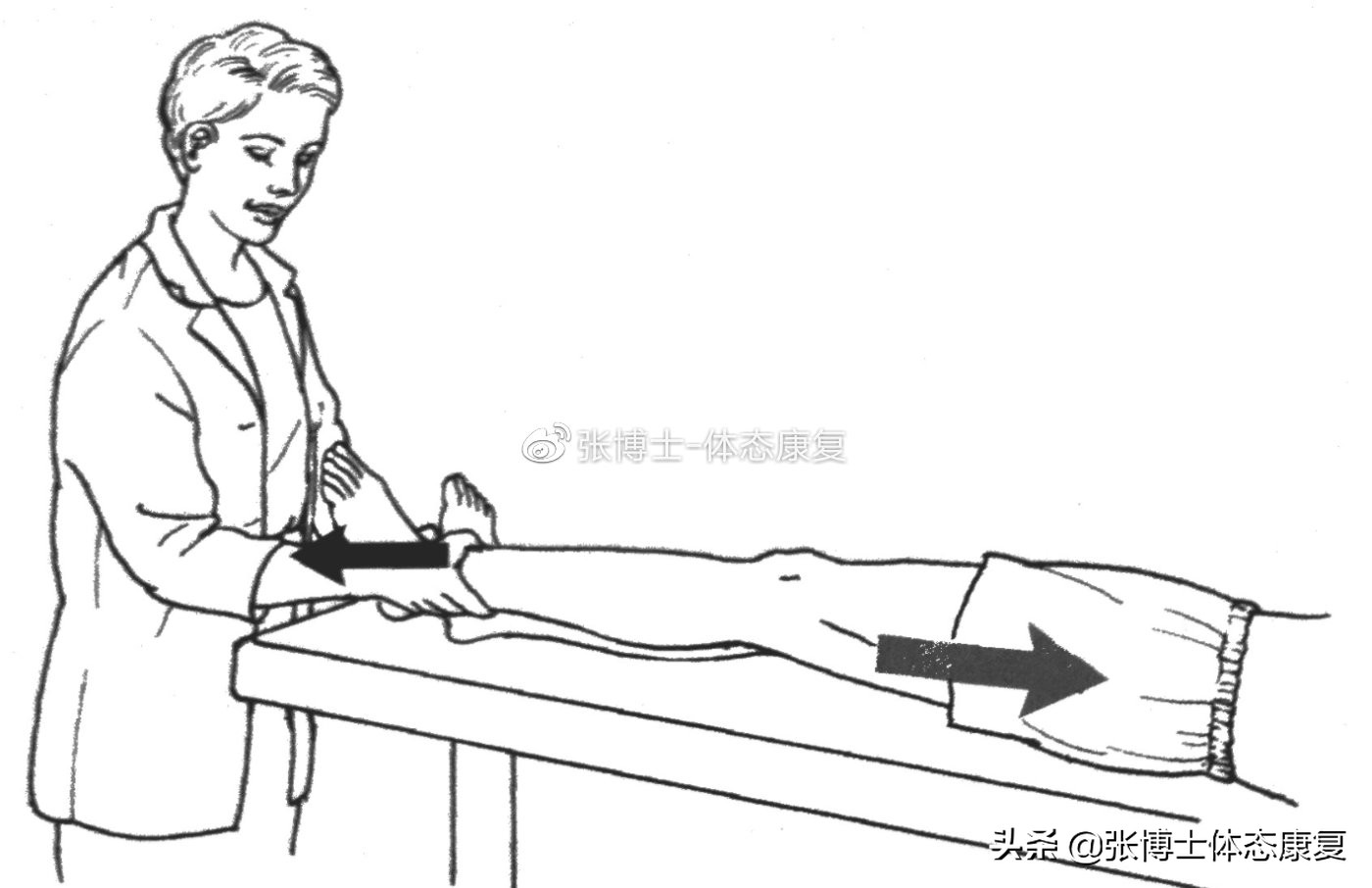 「功能训练」人体额状面稳定性与侧向子系统的关系