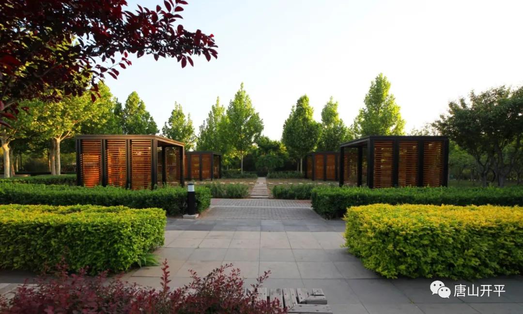 开平的美惊艳了时光,一起去感受开平的魅力