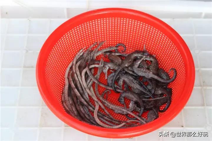 三亚崖州攻略,没有去过三亚要不要去玩