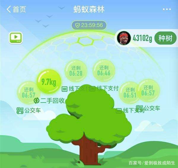 怎么防止支付宝蚂蚁森林能量被偷,支付宝蚂蚁森林偷能量有上限吗