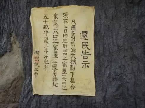 山西老鹳窝大槐树移民,大槐树上的老鹳窝