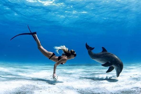 自由潜水值得学吗,自由潜水水下痛苦憋气