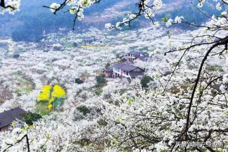 南充著名小镇,南充最美小镇