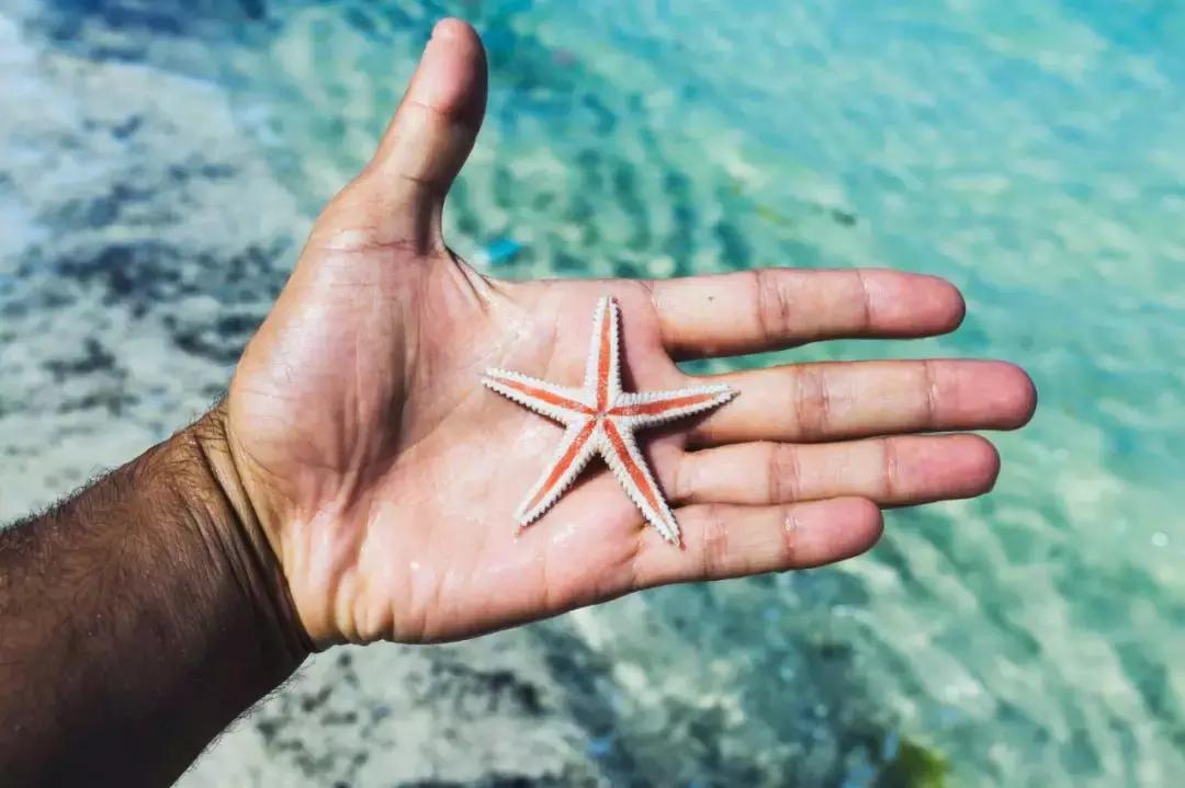 厉害了我的家乡杭州,杭州直飞韩国旅游