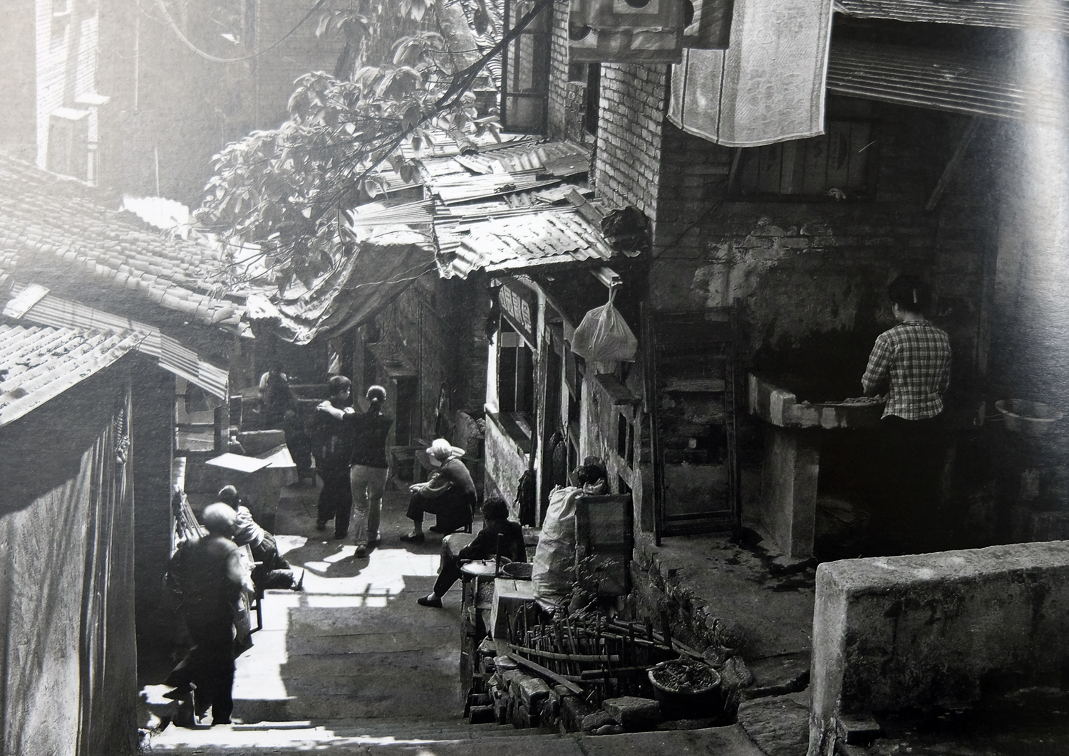 重庆有趣的冷知识,重庆冷知识奉节