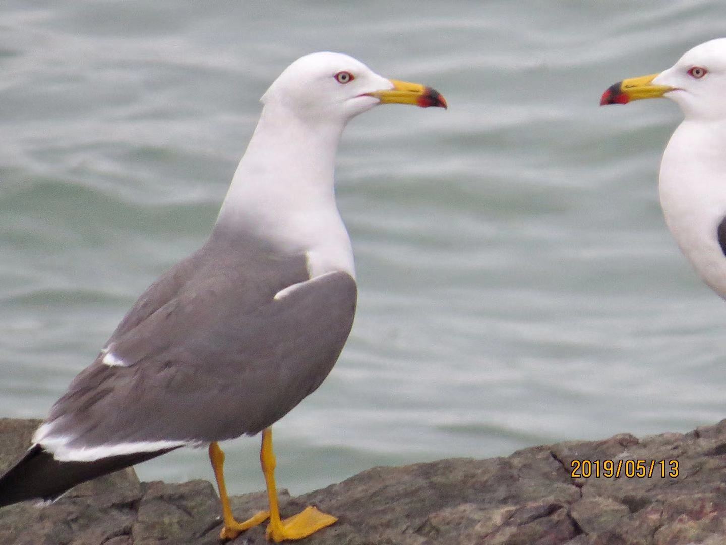 从生活中感悟中医,从二十四节气中悟人生哲理