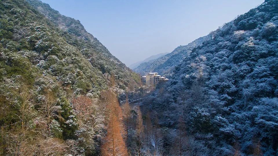 没有孵过混堂的上海冬天，是不完整的！