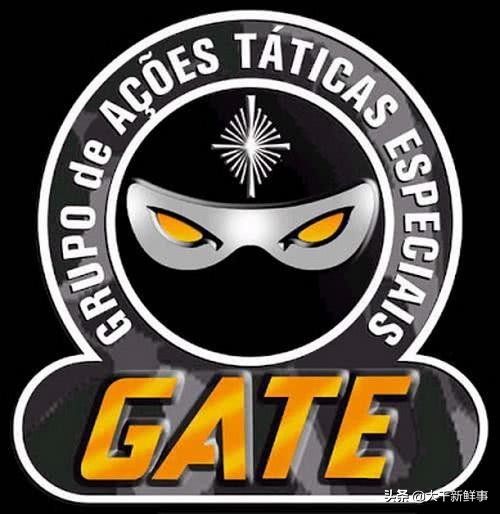 世界十大，不不不！是十支特种作战力量图赏