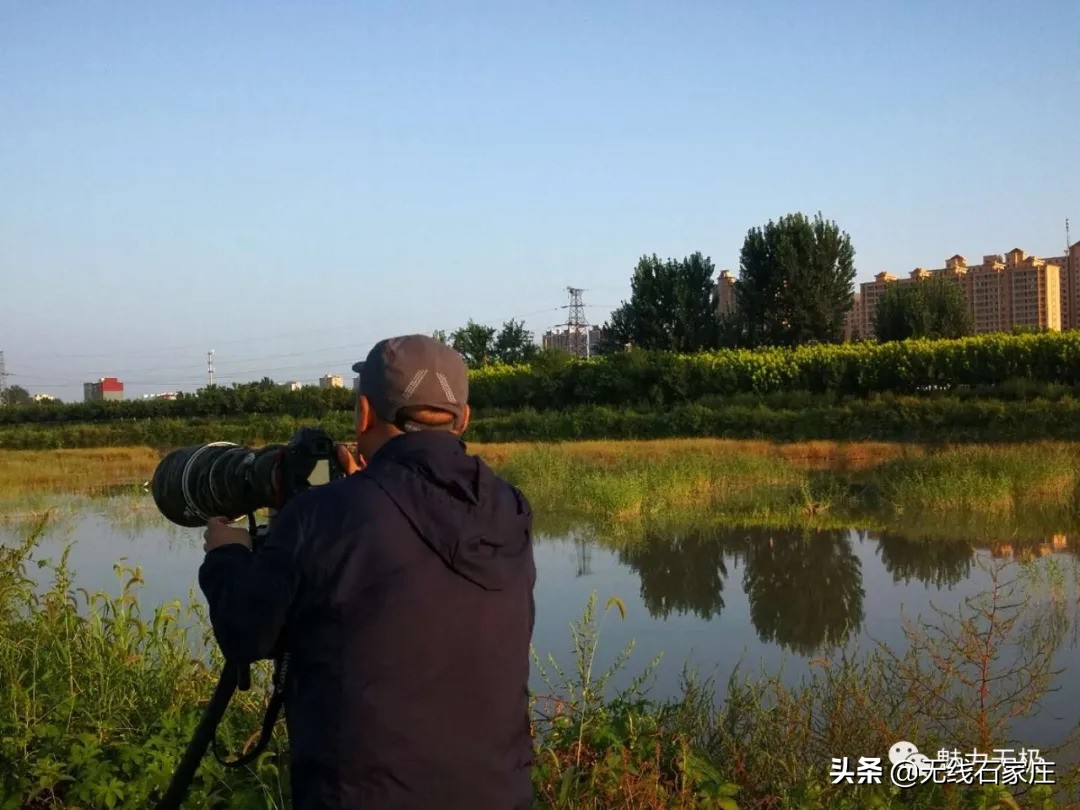 澶х編鏃犳瀬楂樻竻鐩存挱,澶х編鏃犳瀬