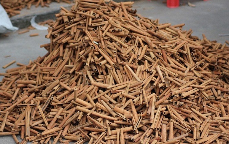 桂皮生意一年能赚多少钱,桂皮利润