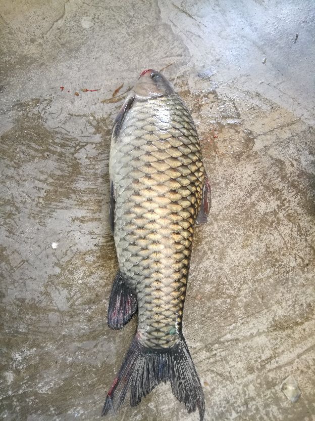 千山万水旅行,千山万水自驾游视频