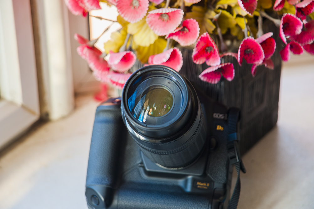 摄影镜头发霉如何清洗,镜头里面发霉怎么处理