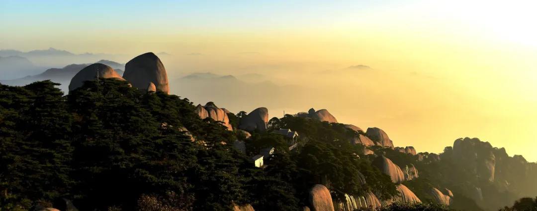 江西铜鼓康养胜地,江西红豆杉景区