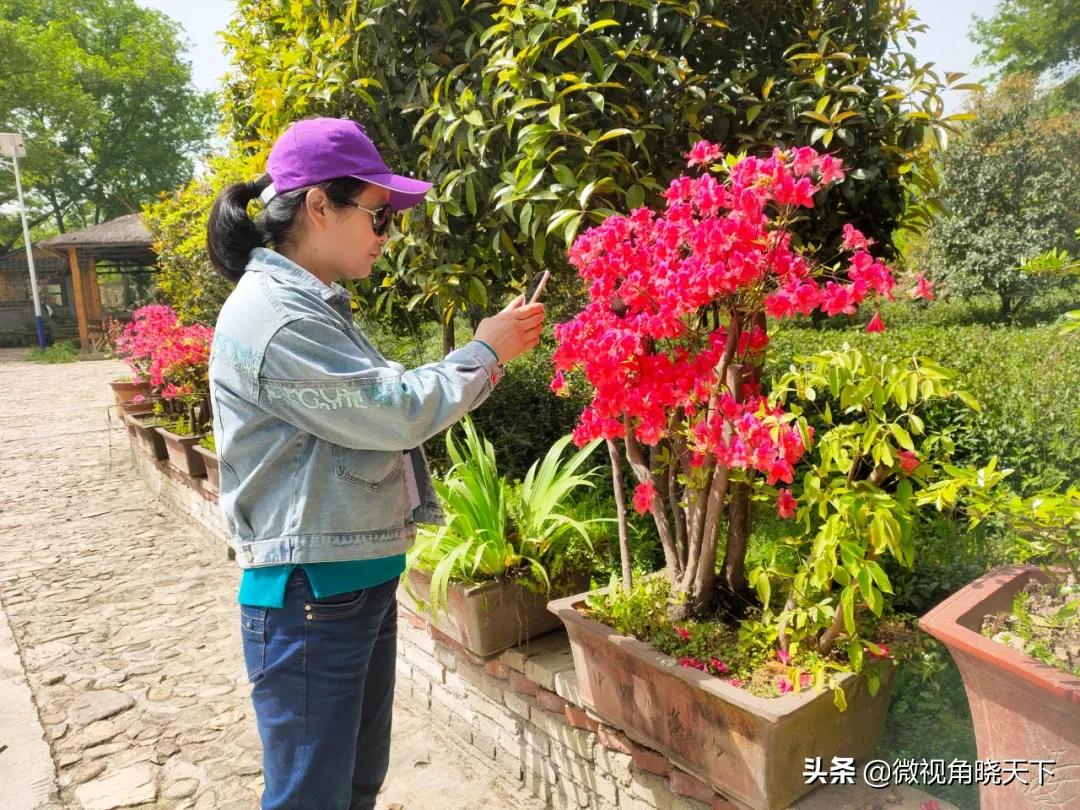 带你看看信阳的茶山美景,信阳浉河茶山直播