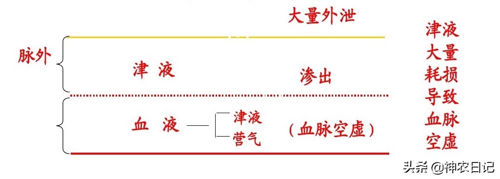 汗出在哪里病就在哪里,出汗部位不同反映身体健康状况