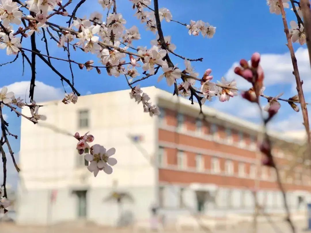 天津共有几所好大学,天津都有什么好大学