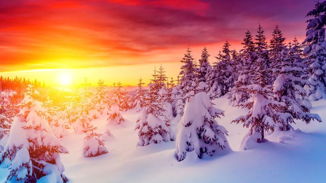 已经是2020年了，为什么我听的还是十年前的歌？