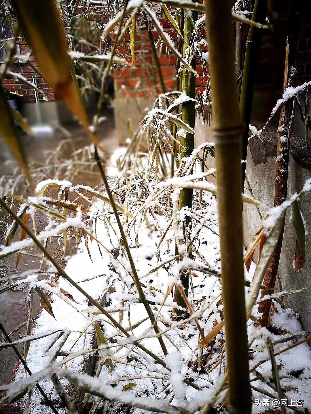 评刘宏宇近作—书房楹联(二)