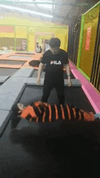 搞笑gif永远不要相信任何人,朋友圈gif背景搞笑