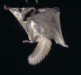 红遍网络的歌,流行歌曲生僻字排名前十