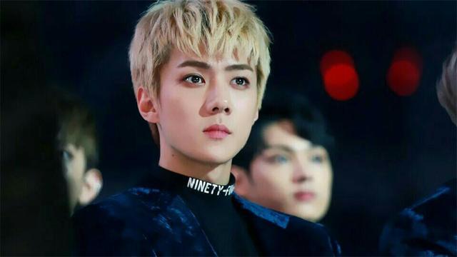 5本主角被退婚废材流小说,主角苟到极致的五本小说