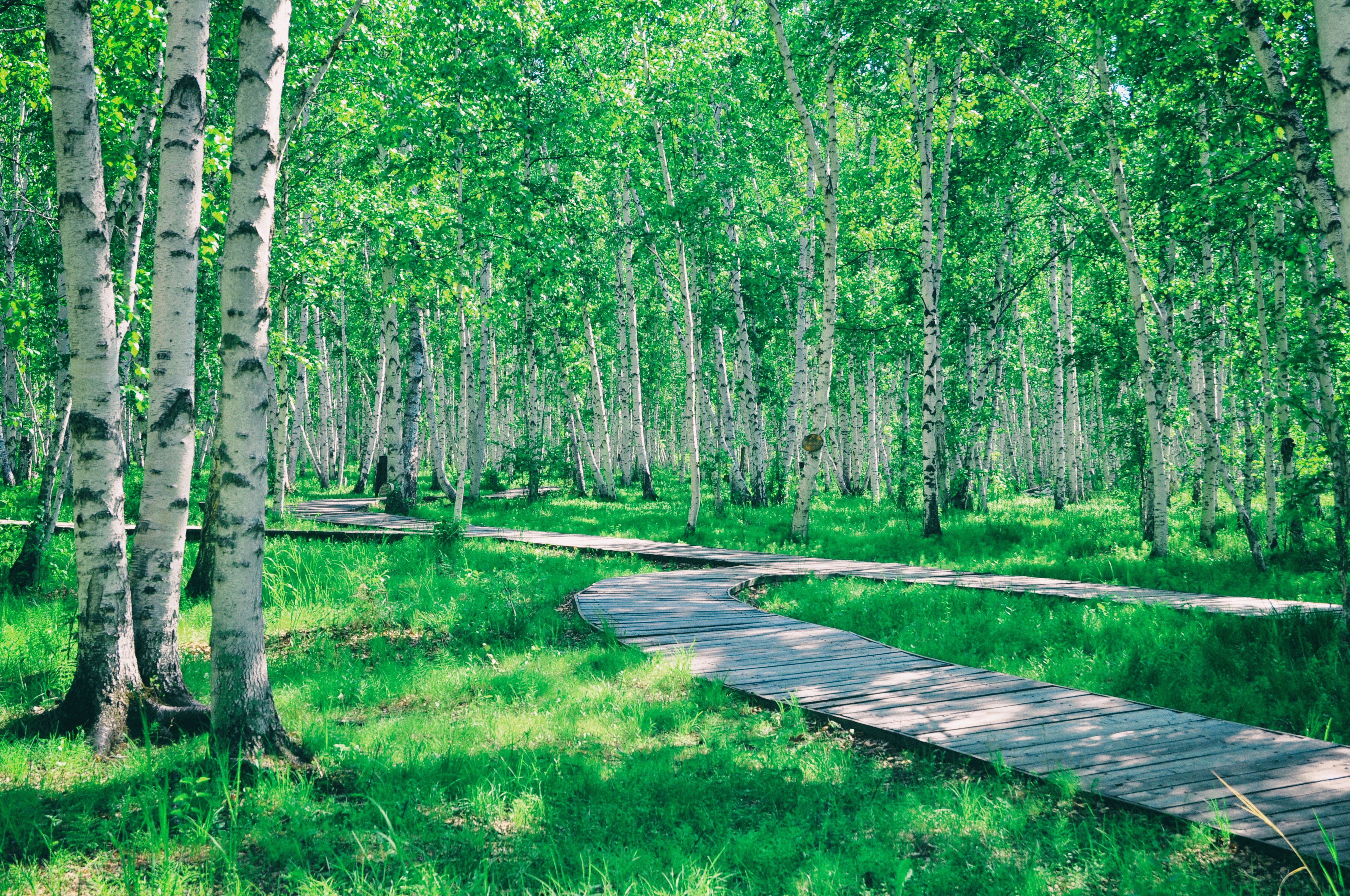 东北边疆,东北行游记2019